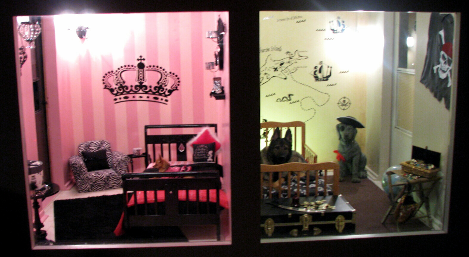 Luxury pet suites