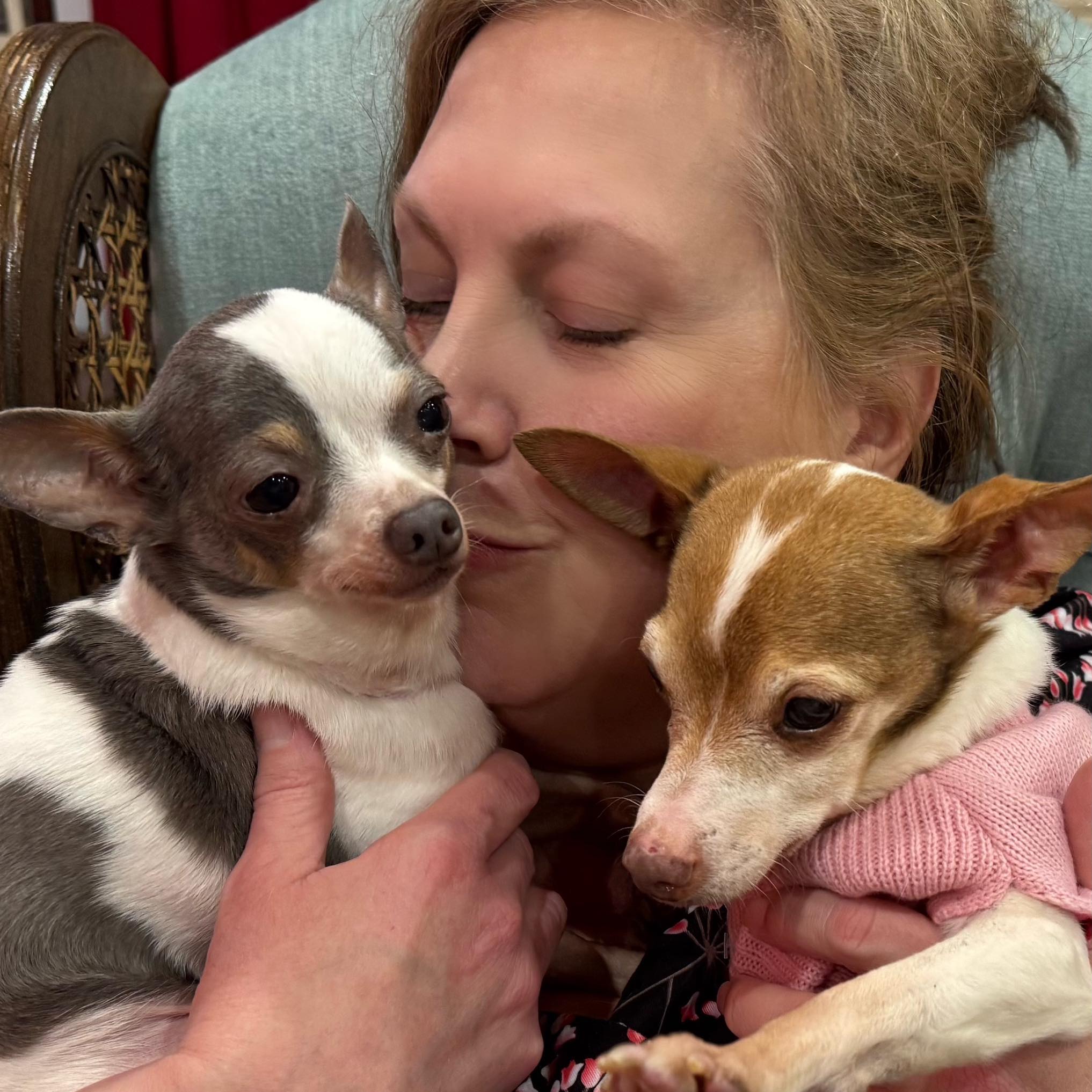 Shannon with rescue Chihuahuas